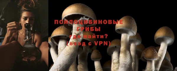 круглые Осинники